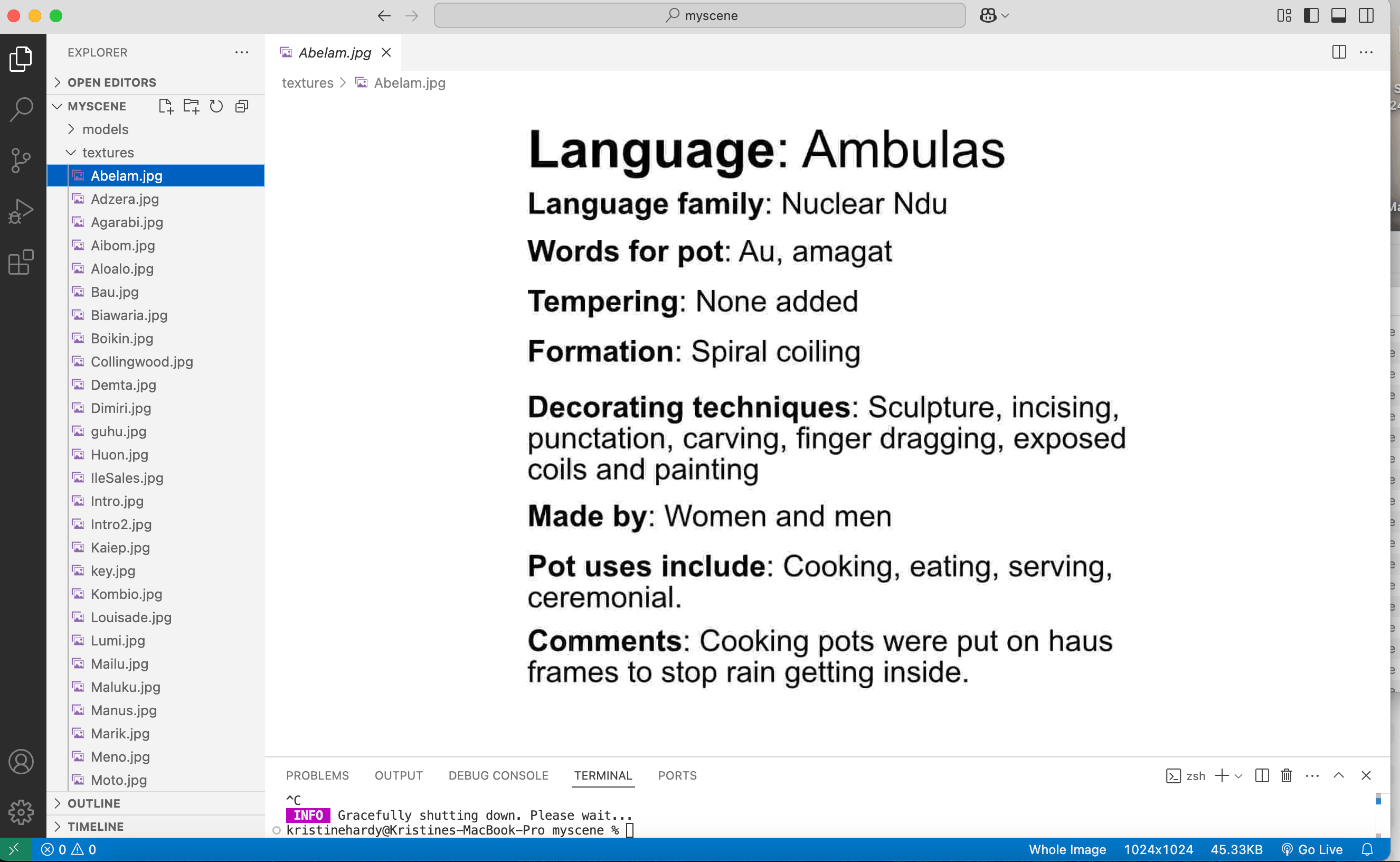 Screenshot of the VSC editor showing a list of `jpg` files in the expanded textures folder.